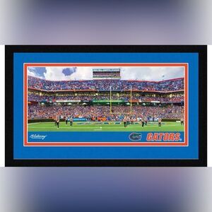 Blakeway Worldwide Panoramas Florida Gators Framed and Mated Stadium Picture